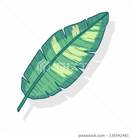 A banana leaf vector illustration A banana leaf vector illustration 139342461