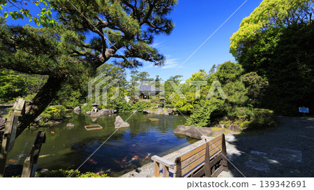 葉山潮騷公園的初夏 葉山潮騷公園的初夏 139342691