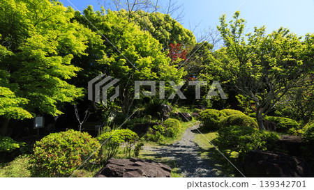 Early summer at Hayama Shiosai Park 139342701