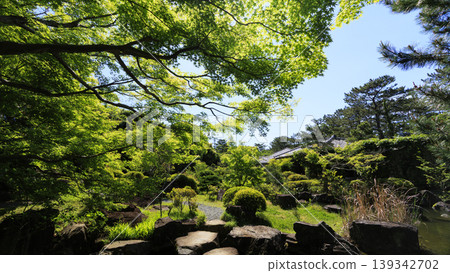 Early summer at Hayama Shiosai Park Early summer at Hayama Shiosai Park 139342702