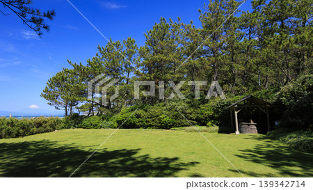 葉山潮騷公園的初夏 葉山潮騷公園的初夏 139342714