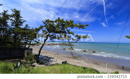 Early summer at Hayama Shiosai Park Early summer at Hayama Shiosai Park 139342715