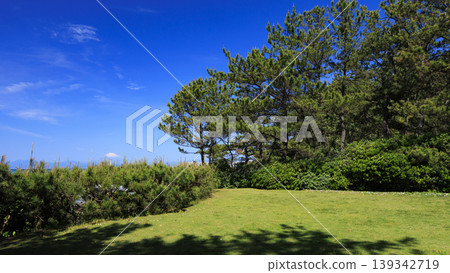 葉山潮騷公園的初夏 葉山潮騷公園的初夏 139342719
