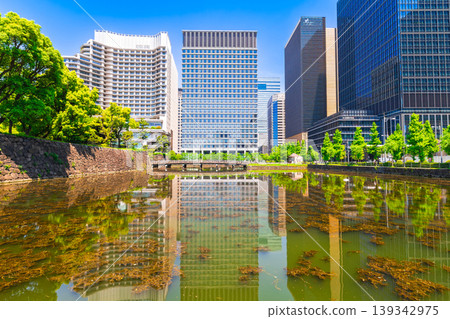 Tokyo: Imperial Palace Wadakura Moat and Marunouchi Tokyo: Imperial Palace Wadakura Moat and Marunouchi 139342975
