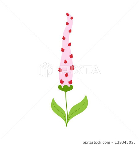 wildflower spike on stem with small inflorescences wildflower spike on stem with small inflorescences 139343053
