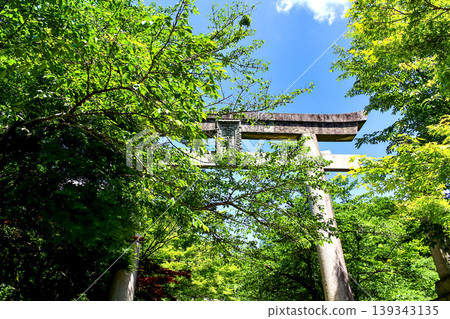 【福岡】初夏的太宰府：灶門神社的第一座鳥居與藍天。 139343135