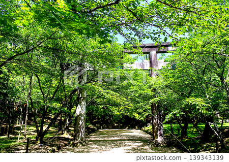 【福岡】初夏的太宰府：灶門神社的鳥居和翠綠的景色 139343139