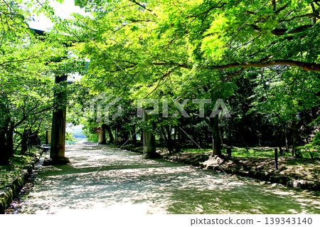 【福岡】初夏的太宰府:從神社庭院眺望灶門神社的鳥居和新鮮的綠植。 【福岡】初夏的太宰府:從神社庭院眺望灶門神社的鳥居和新鮮的綠植。 139343140