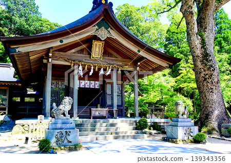 【福岡】初夏的太宰府:灶門神社正殿 【福岡】初夏的太宰府:灶門神社正殿 139343356