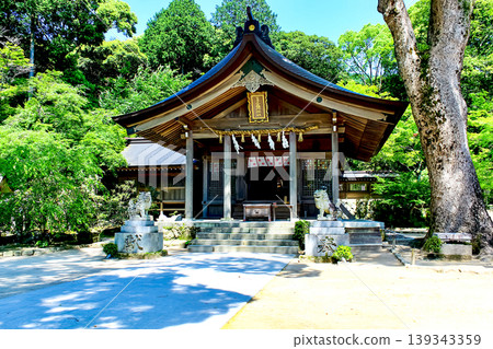 【福岡】初夏的太宰府:灶門神社正殿與清新的綠意 【福岡】初夏的太宰府:灶門神社正殿與清新的綠意 139343359