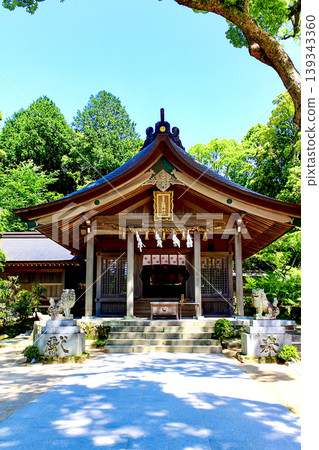 【福岡】初夏的太宰府:灶門神社正殿與清新的綠意 【福岡】初夏的太宰府:灶門神社正殿與清新的綠意 139343360