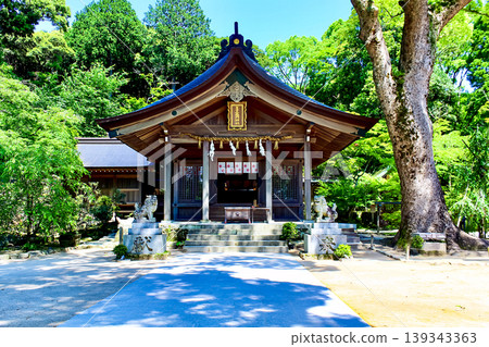 【福岡】初夏的太宰府:灶門神社正殿與清新的綠意 【福岡】初夏的太宰府:灶門神社正殿與清新的綠意 139343363
