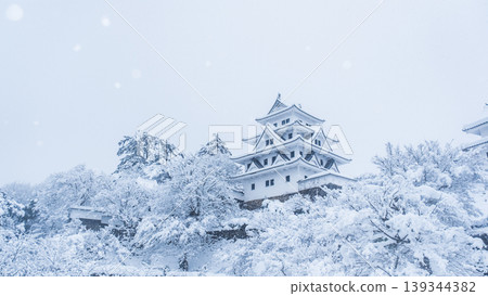 郡上八幡城（冬季） 139344382