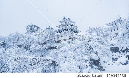 郡上八幡城(冬季) 郡上八幡城(冬季) 139344386