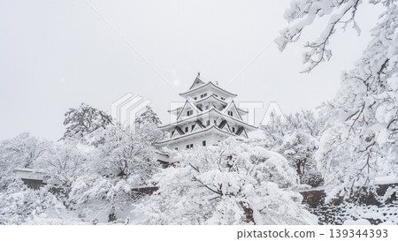 Gujo Hachiman Castle (Winter) Gujo Hachiman Castle (Winter) 139344393