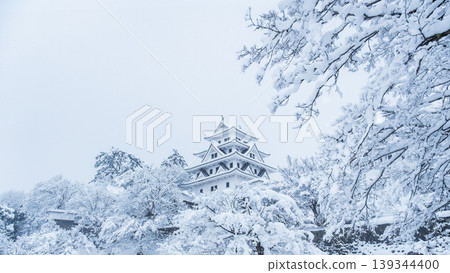 郡上八幡城(冬季) 郡上八幡城(冬季) 139344400