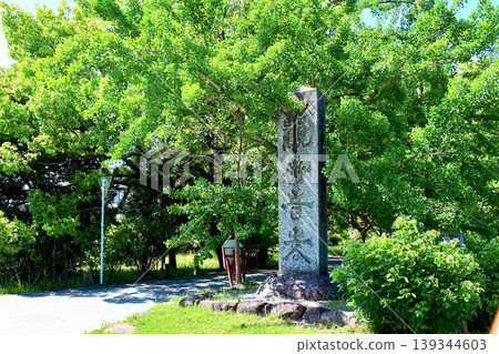 [Fukuoka] Dazaifu in early summer: The stone monument at Kanzeonji Temple 139344603
