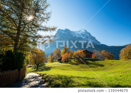 Autumnal pasture paths and chalets in Grindelwald leading to the Eiger. Grindelwald, Bern Canton, Switzerland 139344670