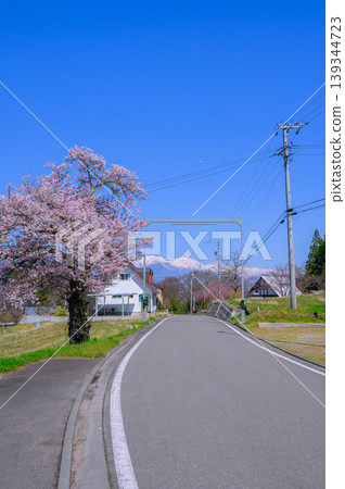 [Scenery of Takizawa] Spring in Azumino [Ikeda Town, Kitaazumi District] 139344723