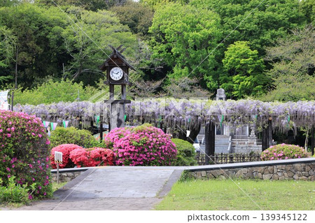 加須市玉敷公園風景 加須市玉敷公園風景 139345122
