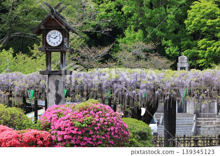 加須市玉敷公園風景 加須市玉敷公園風景 139345123