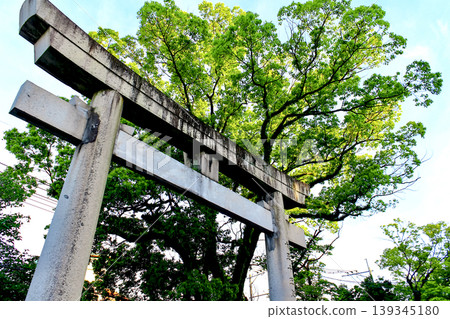 【福岡】久留米初夏：水天宮的石鳥居 139345180