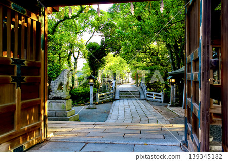 [Fukuoka] Early summer scenery at Suiten-gu Shrine in Kurume 139345182