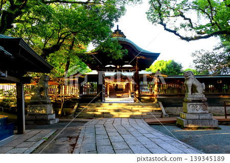 [Fukuoka] Early summer in Kurume: Suiten-gu Shrine illuminated by the setting sun 139345189