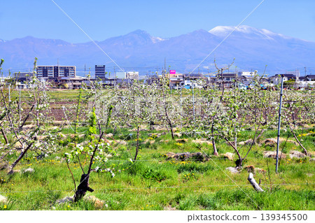從佐久平站附近地區眺望淺間山（長野縣佐久市）[2026年5月] 139345500