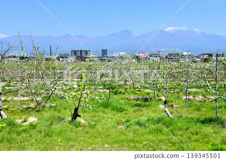 從佐久平站附近地區眺望淺間山（長野縣佐久市）[2026年5月] 139345501