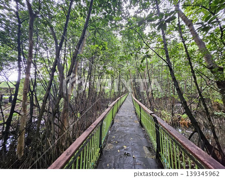 wooden bridge in the forest 139345962