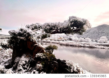 Snow-covered pine trees and a wintery Japanese landscape unfolding along the riverbank. Snow-covered pine trees and a wintery Japanese landscape unfolding along the riverbank. 139345965