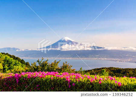 (靜岡縣)從達摩山高原看到的富士山杜鵑花盛開 (靜岡縣)從達摩山高原看到的富士山杜鵑花盛開 139346252
