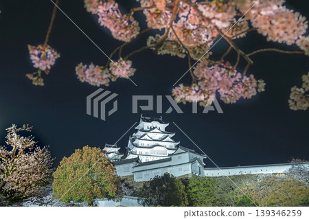 Cherry blossoms in full bloom illuminated at night and Himeji Castle keep Cherry blossoms in full bloom illuminated at night and Himeji Castle keep 139346259