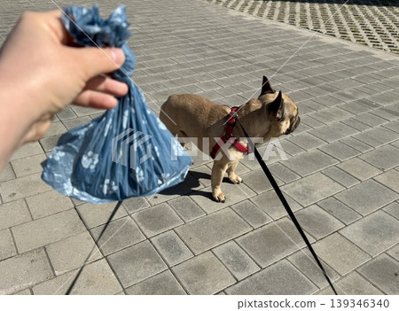 Bags for pet excrement on the background of a French bulldog dog. High quality photos Bags for pet excrement on the background of a French bulldog dog. High quality photos 139346340