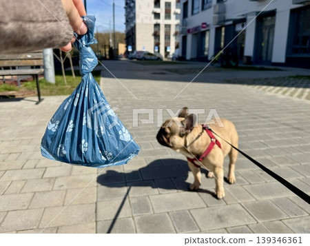 Bags for pet excrement on the background of a French bulldog dog. High quality photos 139346361
