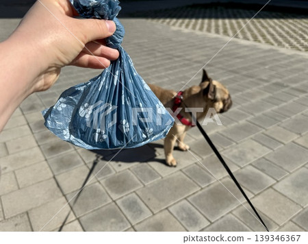 Bags for pet excrement on the background of a French bulldog dog. High quality photos Bags for pet excrement on the background of a French bulldog dog. High quality photos 139346367