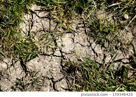 Dried, cracked earth and green grass vegetation trying to growconcept of Climate change impact Dried, cracked earth and green grass vegetation trying to growconcept of Climate change impact 139346428