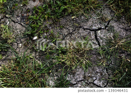 Dried, cracked earth and green grass vegetation trying to growconcept of Climate change impact Dried, cracked earth and green grass vegetation trying to growconcept of Climate change impact 139346431