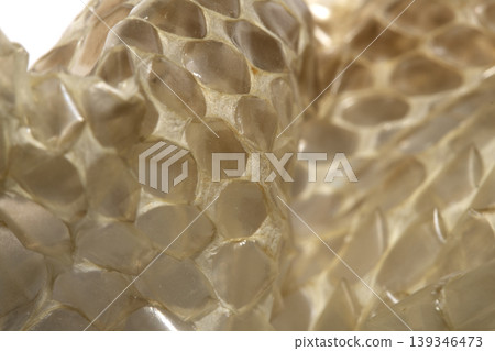 Close up of shedded snake skin snakeskin textured reptile background Close up of shedded snake skin snakeskin textured reptile background 139346473