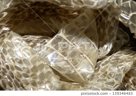 Close up of shedded snake skin snakeskin textured reptile background 139346483