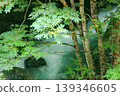 Lush green trees and a stream 139346605