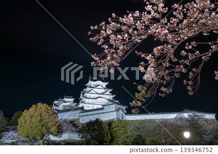Cherry blossoms at night and Himeji Castle keep Cherry blossoms at night and Himeji Castle keep 139346752