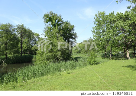 葛飾區水元公園 葛飾區水元公園 139346831