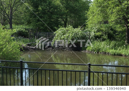 Mizumoto Park, Katsushika Ward Mizumoto Park, Katsushika Ward 139346940