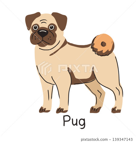 Hand drawn vector illustration of cute pug on white background. Hand drawn vector illustration of cute pug on white background. 139347143