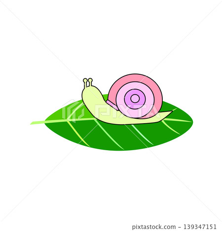 蝸牛和葉子的插圖 139347151
