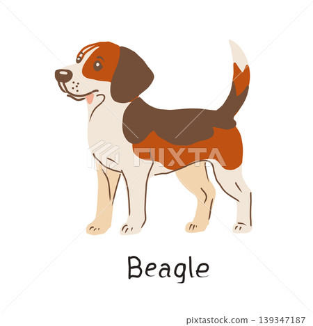 Hand drawn vector illustration of beagle on white background. Hand drawn vector illustration of beagle on white background. 139347187