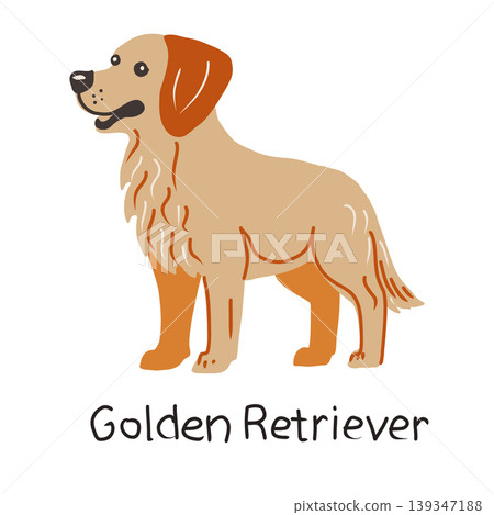 Hand drawn vector illustration of golden retriever on white background. Hand drawn vector illustration of golden retriever on white background. 139347188