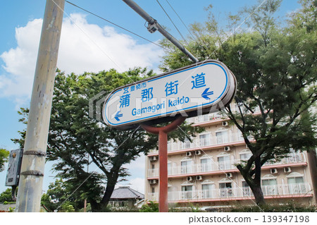 Gamagori Road - Common Road Name Sign / Toyohashi City, Aichi Prefecture 139347198